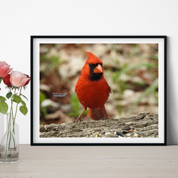 noblecaptures Other - Red Cardinal Bird Oil Painting Art Print